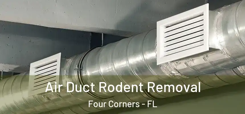 Air Duct Rodent Removal Four Corners - FL
