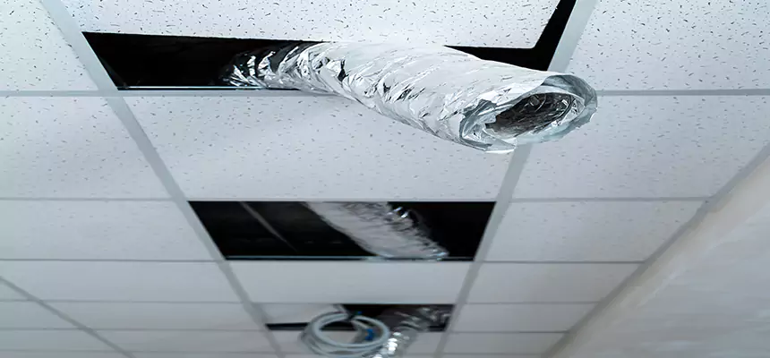 Affordable HVAC Sanitizing After Pest Removal in Four Corners