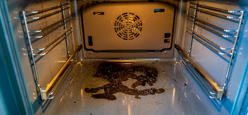 Our Dryer Vent Mold Cleaning Services in Four Corners, FL