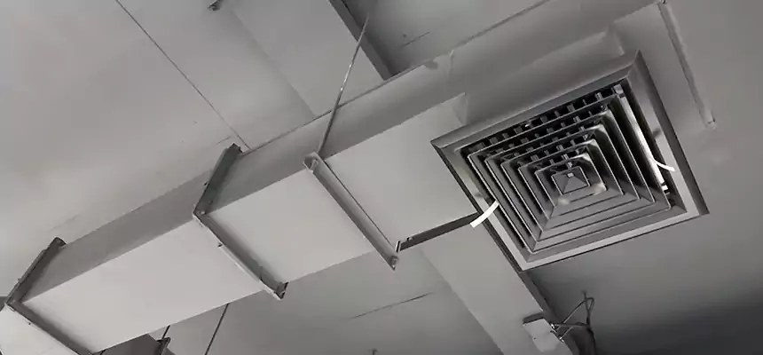 Our Rodent Droppings In Vents Services in Four Corners, FL