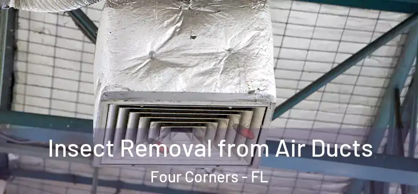 Insect Removal from Air Ducts Four Corners - FL