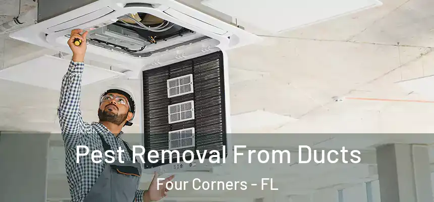 Pest Removal From Ducts Four Corners - FL