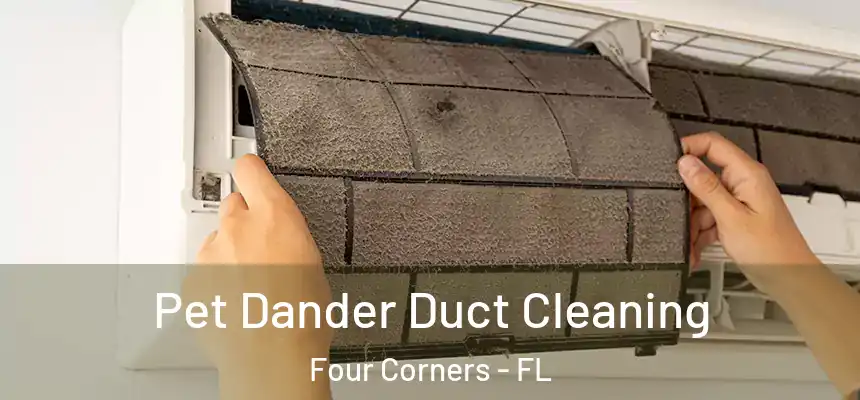 Pet Dander Duct Cleaning Four Corners - FL