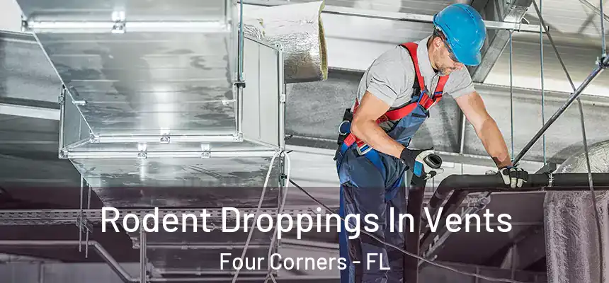 Rodent Droppings In Vents Four Corners - FL