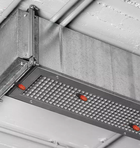 About Air Duct Cockroach Removal in Four Corners, FL