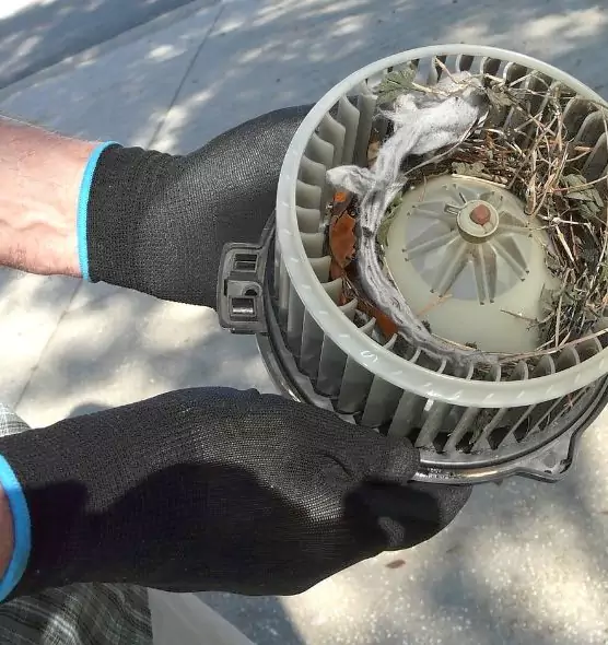 About Air Duct Rat Removal in Four Corners, FL