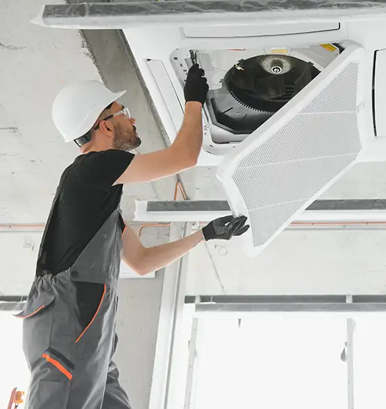 About Air Duct Rodent Removal in Four Corners, FL