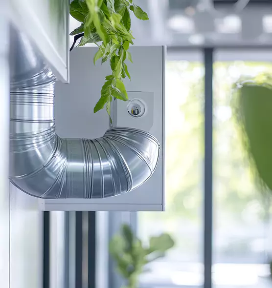 Professional Eco-Safe Dryer Vent Cleaning in Four Corners, FL