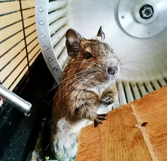 Why Homeowners & Businesses Trust Us Four Corners, FL