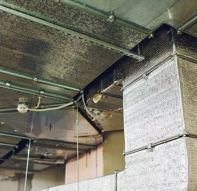 Why Homeowners & Businesses Trust Us in Four Corners, FL?